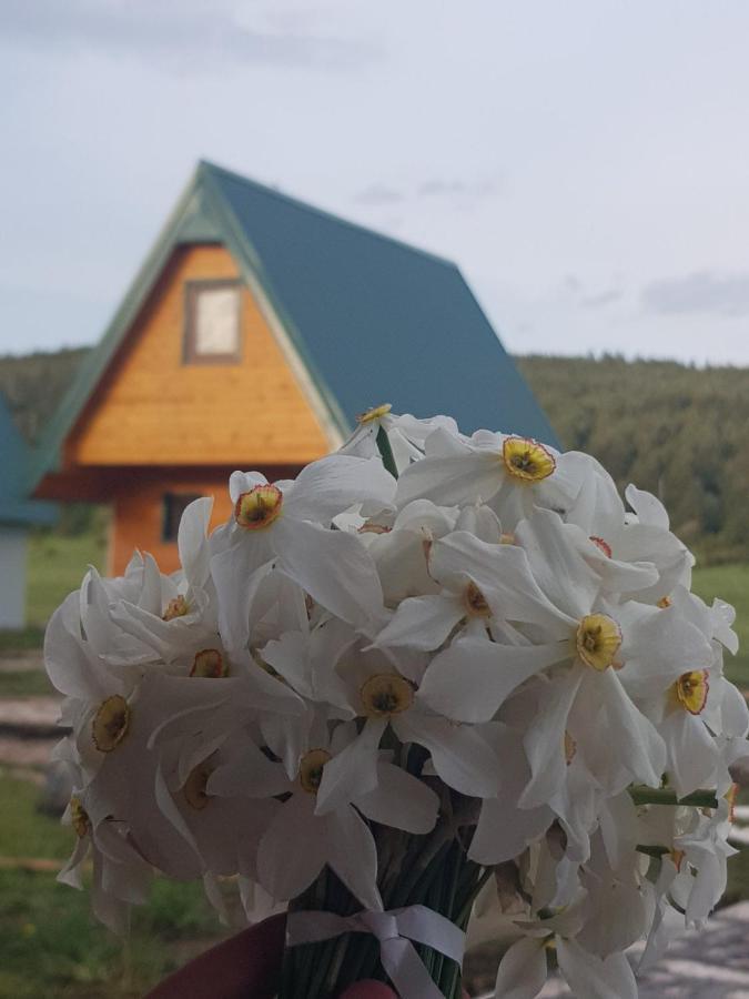 Bungalovi Tim Žabljak エクステリア 写真