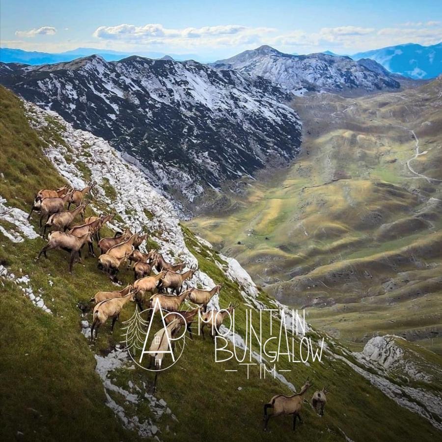 Bungalovi Tim Žabljak エクステリア 写真